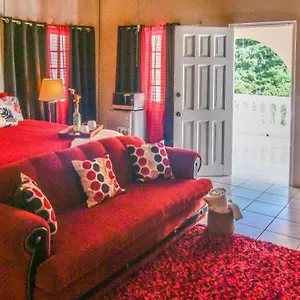 876 Ja Oasis & - By Airport , Kingston Jamaica